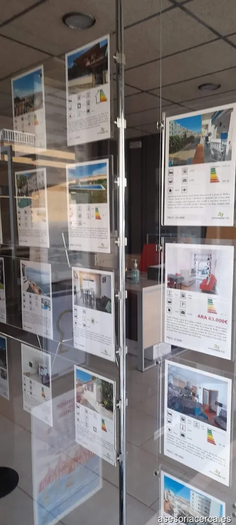 Mv Gestio Assessoria 2012